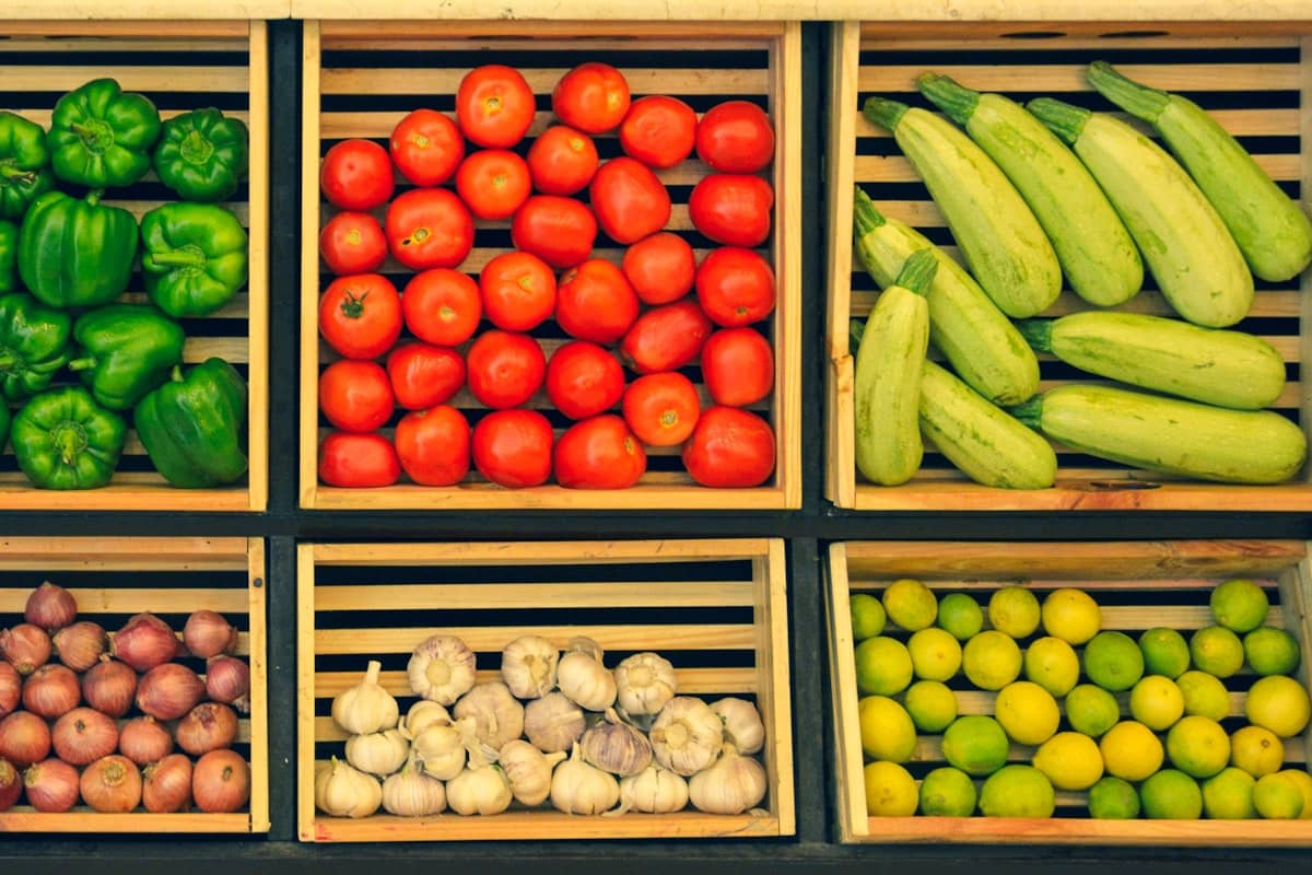 Automotive workshop with diagnostic equipment and vehicles being serviced