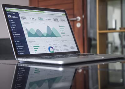 Small business owner reviewing BAS statement and cash flow spreadsheet
